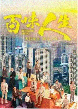 雾港档案 剧集海报